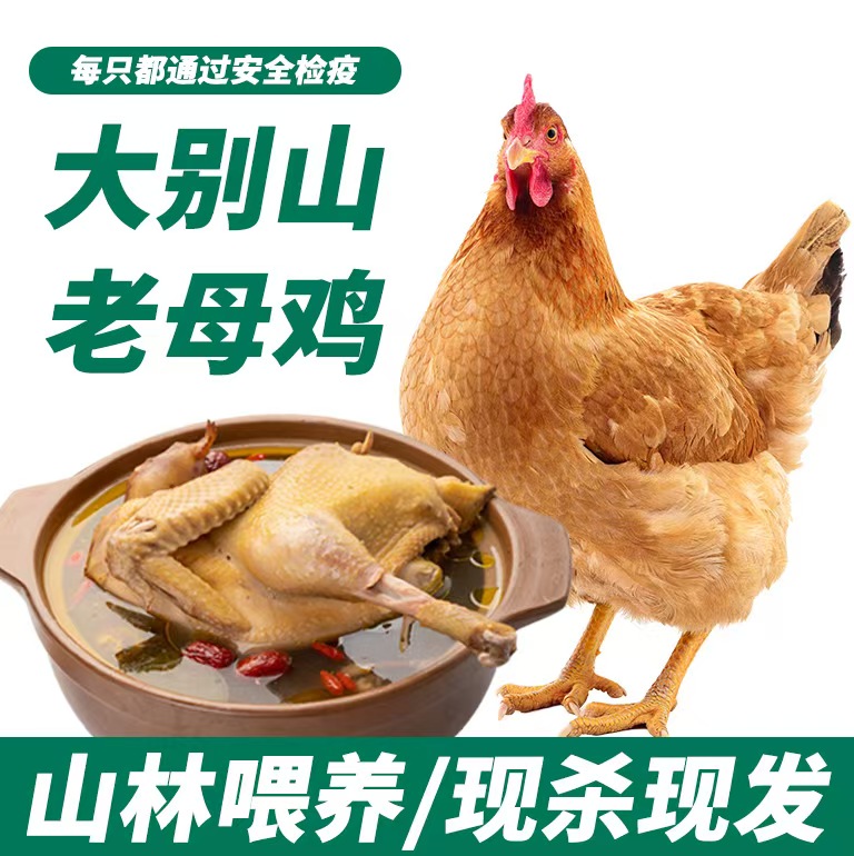 霍邱县